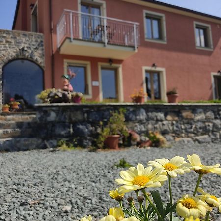 Agriturismo Torsivi Castiglione Chiavarese エクステリア 写真
