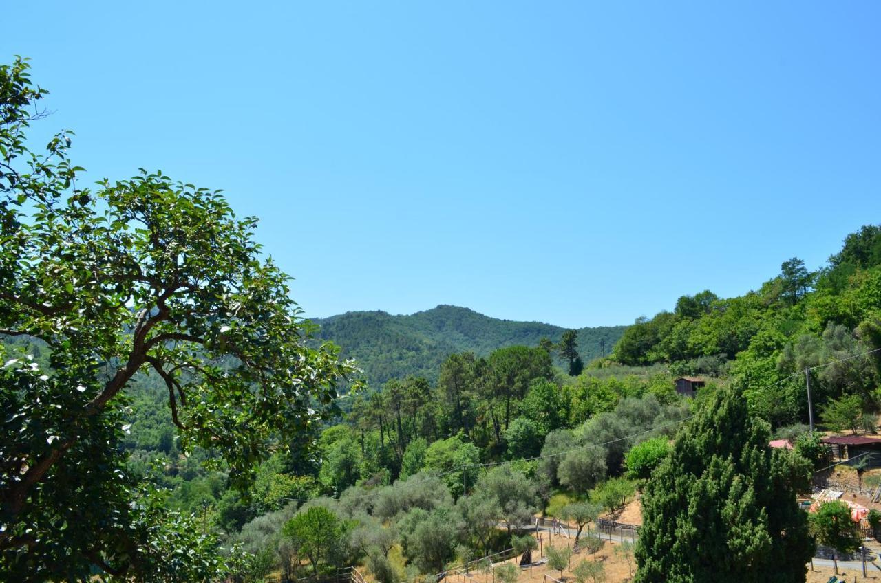 Agriturismo Torsivi Castiglione Chiavarese エクステリア 写真