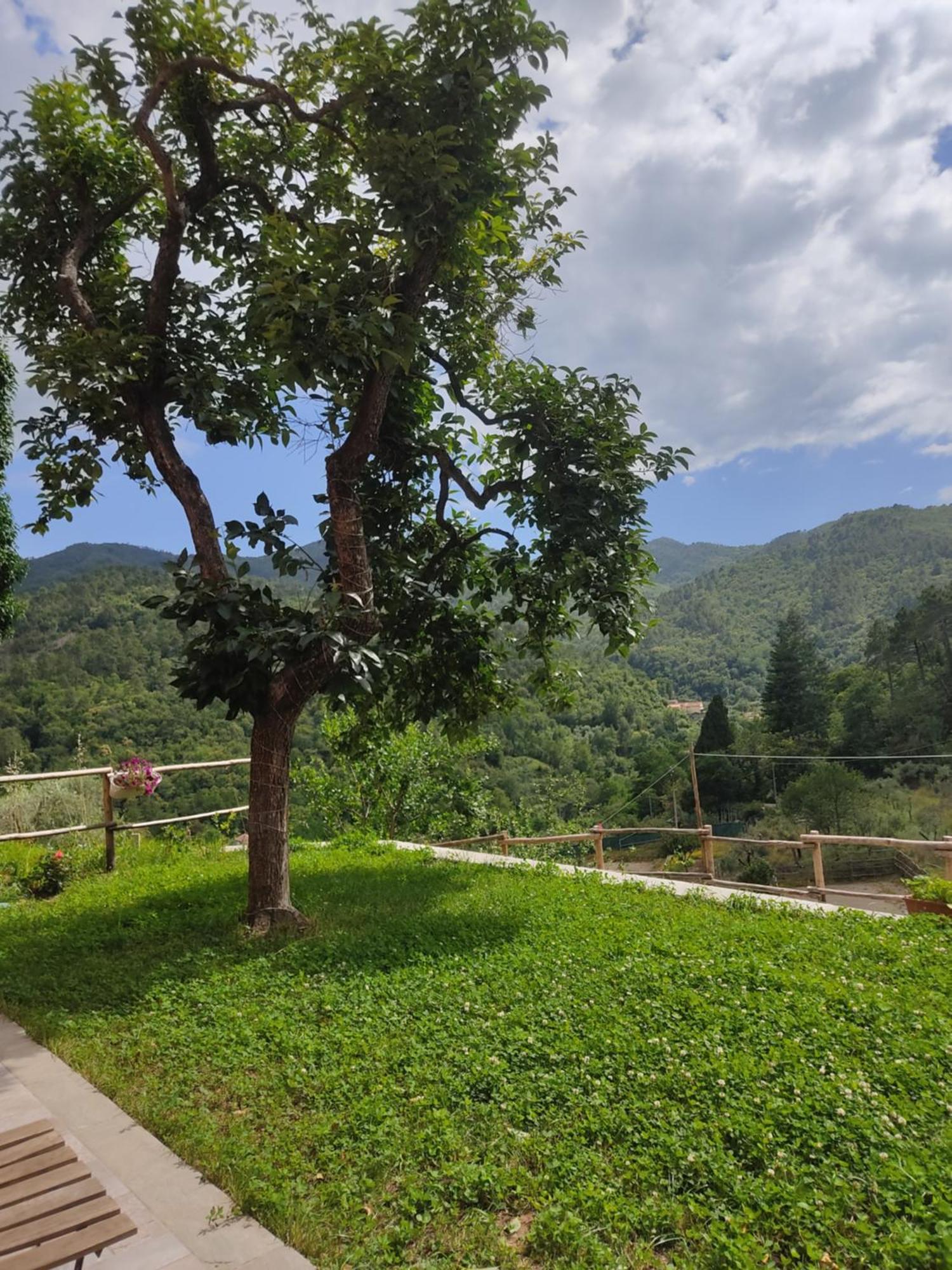 Agriturismo Torsivi Castiglione Chiavarese エクステリア 写真